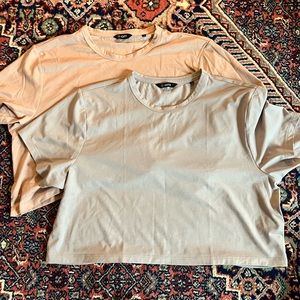 2 cuts clothing xl cropped almost Friday tees. 1 color ballet & 1 concrete.